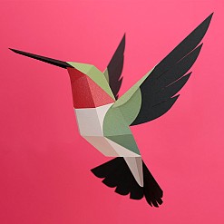 3D-Papiervogel von Plego. Breitschwanzelfe