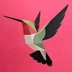 3D-Papiervogel von Plego. Coliancho Kolibri